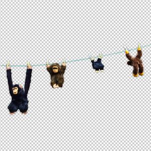 免费成人看黄色的网站
